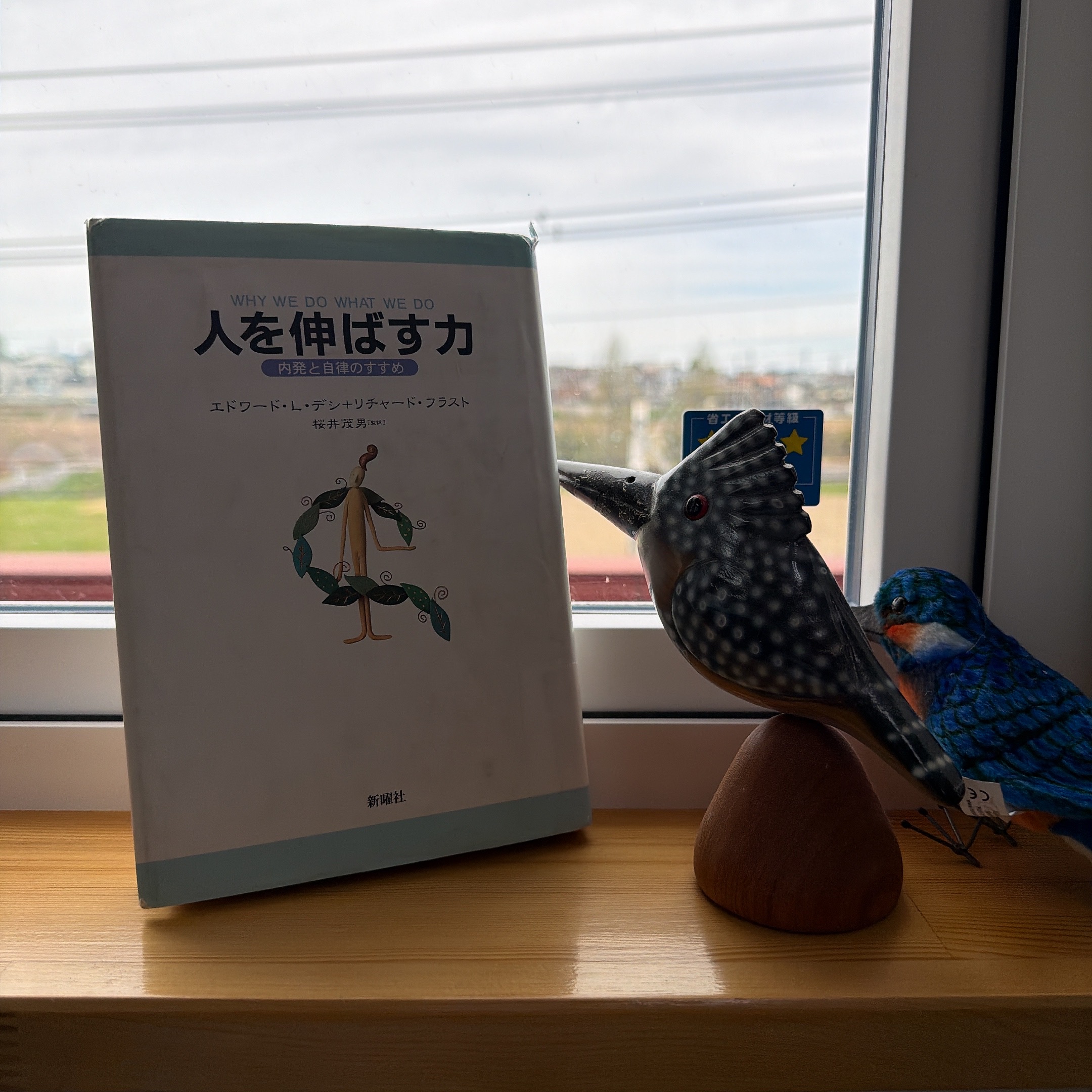 学習性無力感 画像