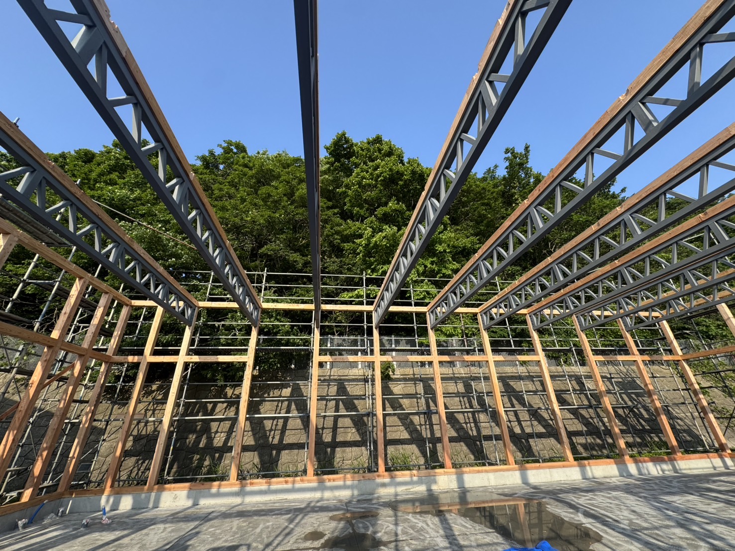 久々の建前最高だった🔨 画像