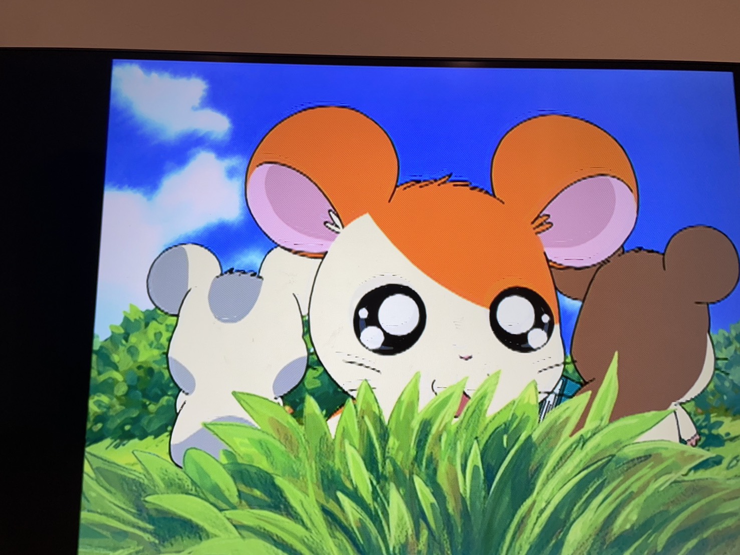 流行りのウイルスにやられてました… 画像