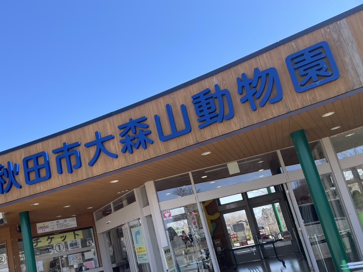 動物園にいってきました 画像