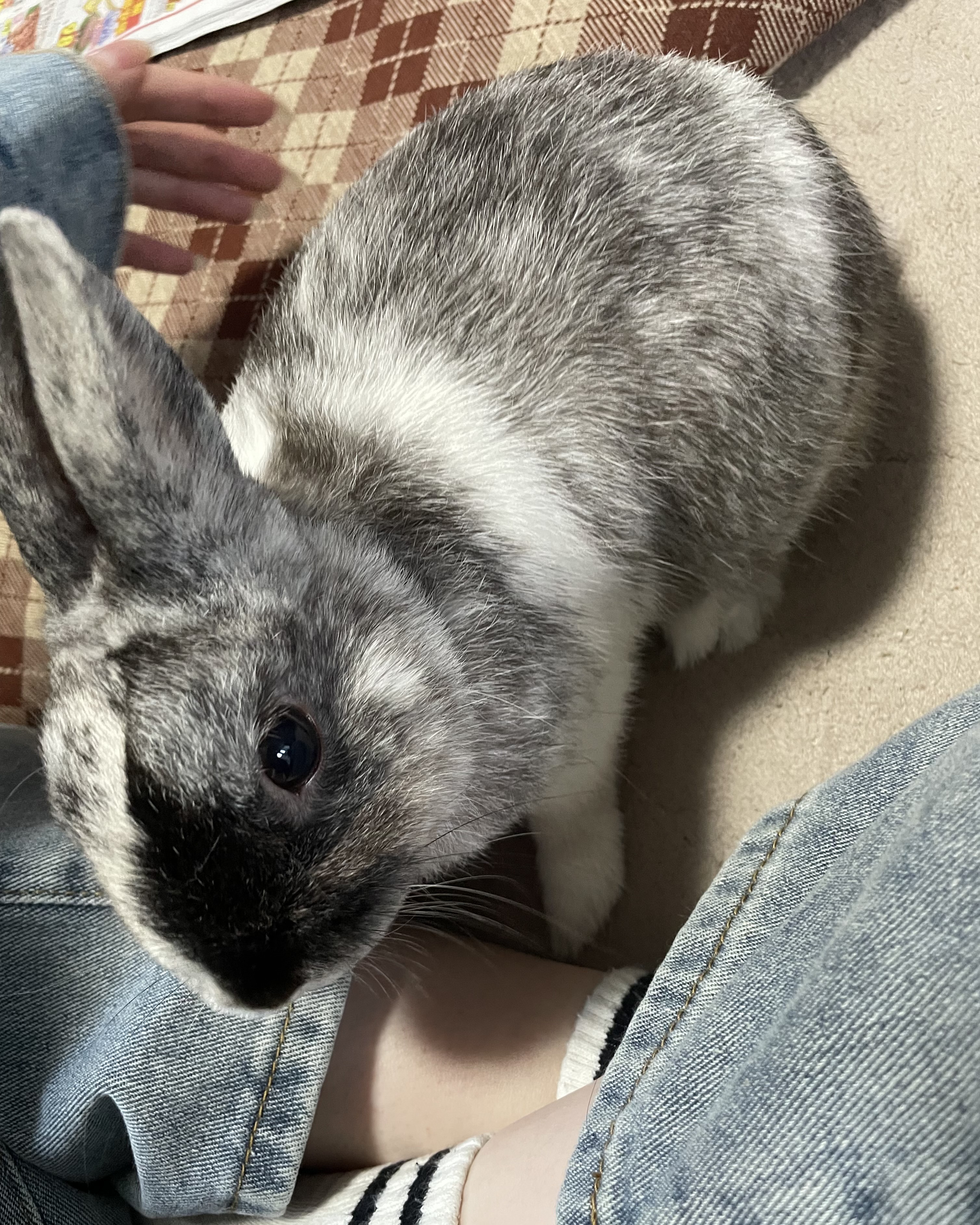 癒された～♡ アイキャッチ画像